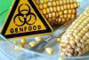 В Івано-Франківську відкриють лабораторію з визначення ГМО (рис.1)